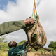 Image for article titled The Best Way To Transport A Rhino? Upside Down, Tied to a Helicopter